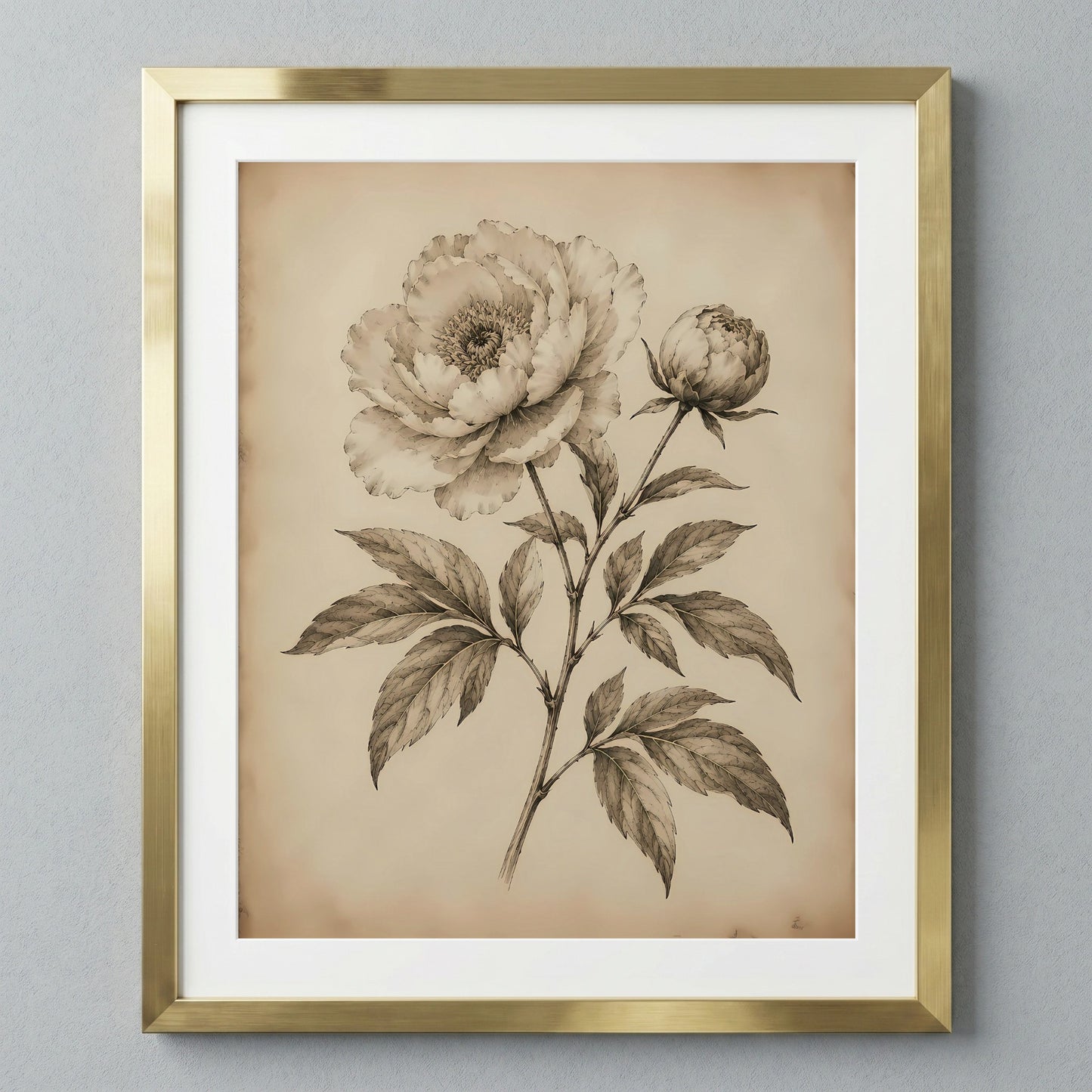 Elegant Peony Floral Illustration — image 1