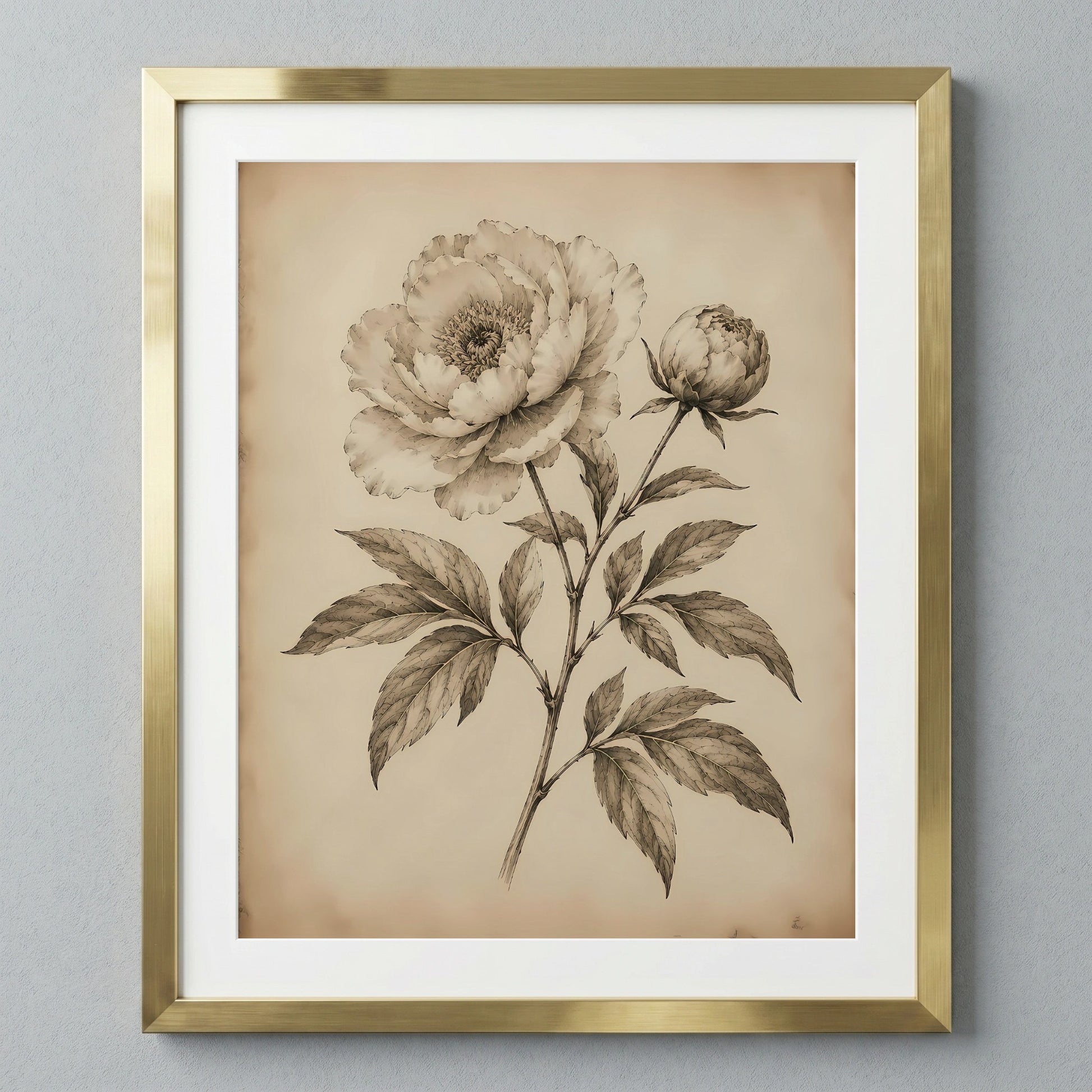 Elegant Peony Floral Illustration — image 1