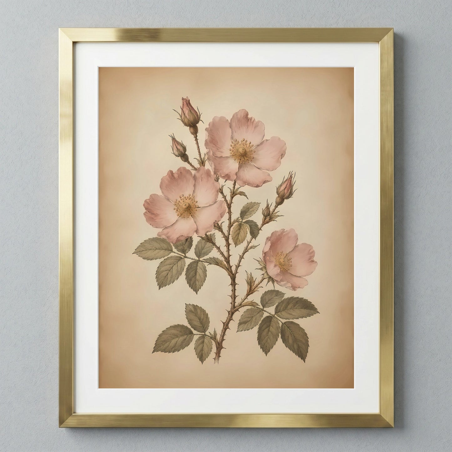 Soft Wild Rose Artwork — Framed vintage floral art featuring pink roses