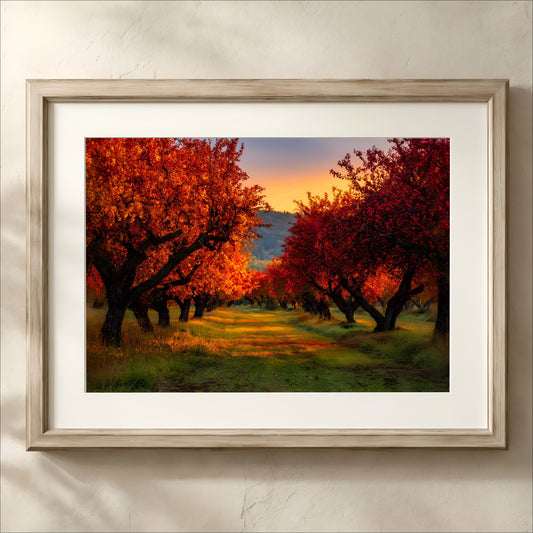 Vibrant Orchard Trail