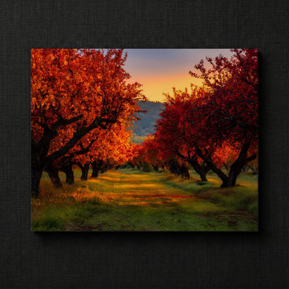 Vibrant Orchard Trail